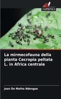 mirmecofauna della pianta Cecropia peltata L. in Africa centrale