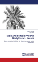 Male and Female Phoenix Dactylifera L. Leaves