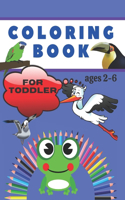 Coloring Book for Toddler Ages 2-6.