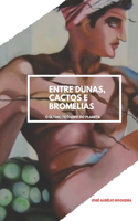 Entre dunas cactos e bromélias