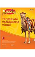 Lectura Maravillas, Grade 3, Visual Vocabulary Cards