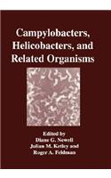 Campylobacters, Helicobacters, and Related Organisms