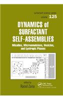 Dynamics of Surfactant Self-Assemblies