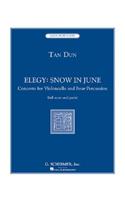 Elegy