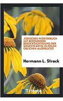Jï¿½disches Worterbuch mit besonderer Berï¿½cksichtigung der gegenwï¿½rtig in Polen ï¿½blichen Ausdrï¿½cke