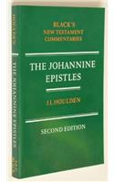 Commentary on the Johannine Epistles