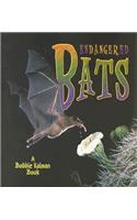 Endangered Bats