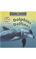 Dolphins / Delfines