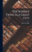 Bobbsey Twins in a Great City