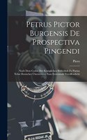 Petrus Pictor Burgensis De Prospectiva Pingendi: Nach Dem Codex Der Königlichen Bibliothek Zu Parma Nebst Deutscher Übersetzung Zum Erstenmale Veröffentlicht