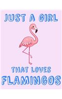 Just A Girl That Loves Flamingos