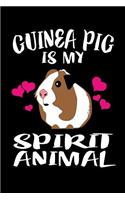 Guinea Pig Is My Spirit Animal