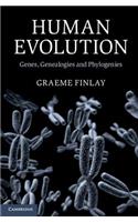 Human Evolution: Genes, Genealogies and Phylogenies