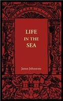 Life in the Sea
