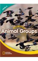 World Windows 3 (Science): Animal Groups