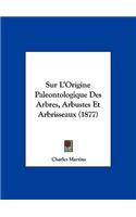 Sur L'Origine Paleontologique Des Arbres, Arbustes Et Arbrisseaux (1877)