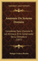 Anatomie Du Systeme Dentaire