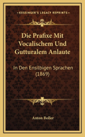 Die Prafixe Mit Vocalischem Und Gutturalem Anlaute