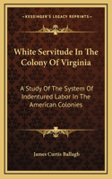 White Servitude In The Colony Of Virginia: A Study Of The System Of Indentured Labor In The American Colonies