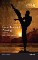 Human Anatomy & Physiology, Global Edition