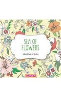 Sea of Flowers