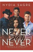 Never Say Never: A Triangle of Three Men The Third book in a Trilogy