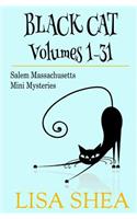 Black Cat Vols. 1-31 - The Salem Massachusetts Mini Mysteries