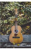 The Acoustic Guitar Journal: 150 Page Lined Notebook/Diary