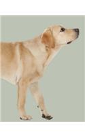 Labrador Retriever: Artified Pets Journal/Notebook/Diary, 160 Pages with Wraparound Cover Image