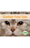 Scottish Fold Cats