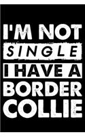 I'm Not Single I Have A Border Collie