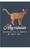 Abyssinian Because Life Is Boring Without One