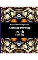 Mandala Coloring Books Amazing Drawing 12th Birthday