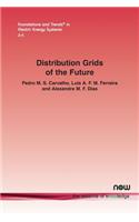 Distribution grids of the future