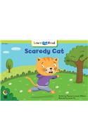 Scaredy Cat