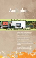 Audit plan