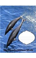 Northern Bottlenose Whale Wide Ruled Line paper Composition Book