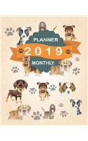 2019 Planner Monthly: 12 Month January 2019 to December 2019 for to Do List Calendar Schedule Organizer and Soclal Media Passwords and Journal Notebook with Inspirational(6 Cute Animal)