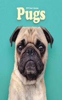 PUG EASEL 2019: (EASEL)