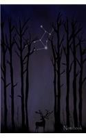 Notebook: Lined 6 x 9 Notebook or Journal with Forest Scene and Virgo Constellation, 150 Fully Lined Pages