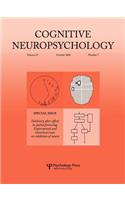 Inhibitory After-Effects in Spatial Processing