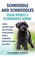 Schnoodle And Schnoodles