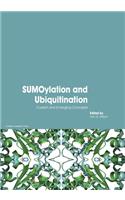 SUMOylation and Ubiquitination