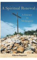 A Spiritual Renewal: A Journey to Medjugorje