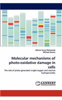 Molecular mechanisms of photo-oxidative damage in cells