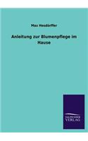 Anleitung zur Blumenpflege im Hause