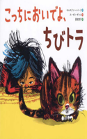 Dear Stray