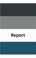 Report