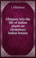 Glimpses into the life of Indian plants an elementary Indian botany