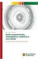 Auto-organização, inteligência coletiva e cocriação